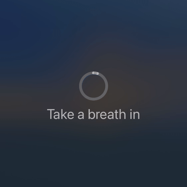 Adaptive Breathwork & CO2 Tolerance